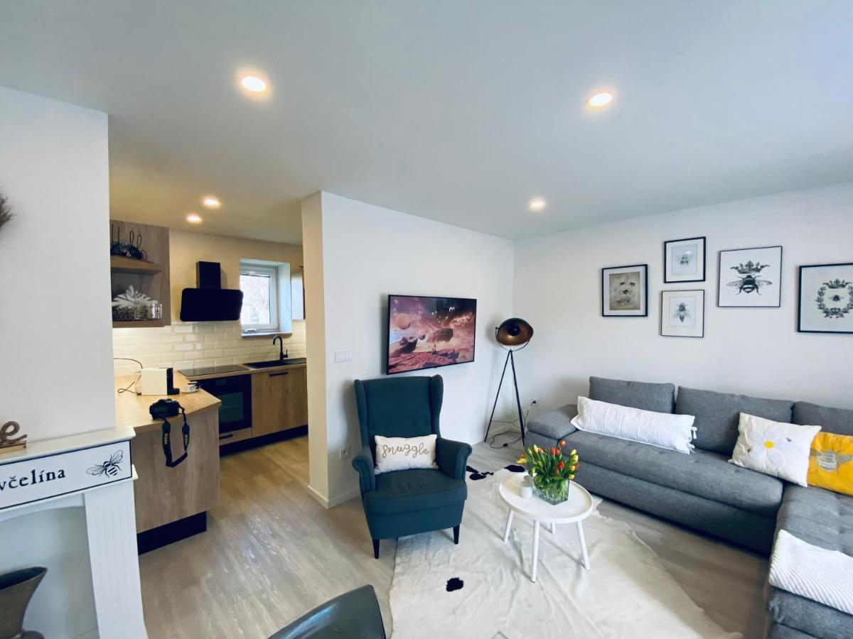 Apartman U Vcelina Chlumec nad Cidlinou Buitenkant foto
