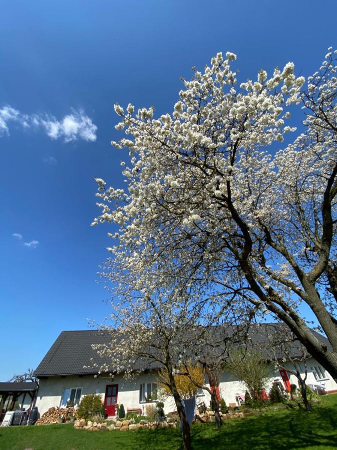 Apartman U Vcelina Chlumec nad Cidlinou Buitenkant foto